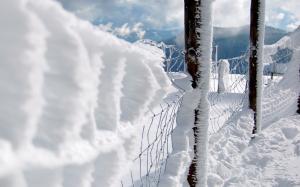 Fence Wire Snow Winter HD wallpaper thumb