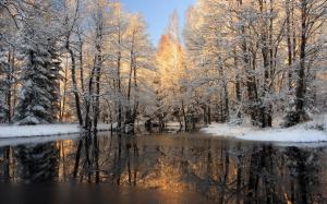 Winter, snow, forest, trees, ice, lake wallpaper thumb
