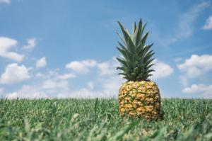Pineapples, Grass, Fruit, Nature wallpaper thumb
