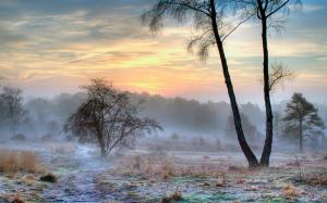 Frost Sunset Trees Mist Fog HD wallpaper thumb