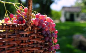 Delicious fruit red grape wallpaper thumb