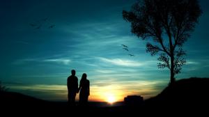 Romantic evening, couples, trees, birds, sunset, silhouette wallpaper thumb