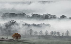 Foggy Hills With Trees wallpaper thumb