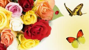 Roses Roses Butterfly Butterfly wallpaper thumb