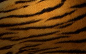 Tiger fur wallpaper thumb