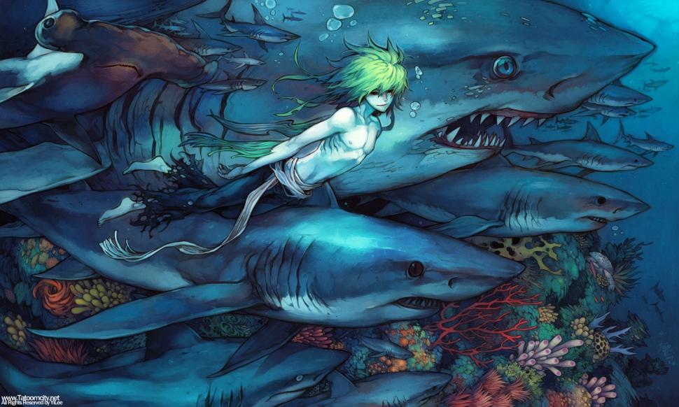 Shark, Underwater, Anime wallpaper,shark HD wallpaper,underwater HD wallpaper,anime HD wallpaper,2000x1200 wallpaper