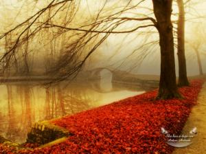 autumn deja-vu bridge colors lake leaves nature red romantic thoughts Trees HD wallpaper thumb