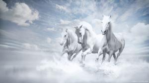 White Horses Running wallpaper thumb