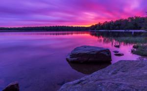 Purple sunset, forest, lake, rocks wallpaper thumb