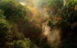 Nature, Landscape, Forest, Mountain, Mist, Morning, Sunrise, Trees wallpaper thumb