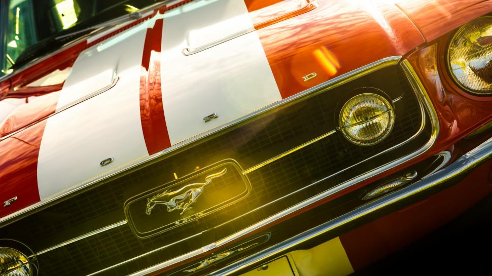 Ford Mustang car logo wallpaper,ford mustang HD wallpaper,3840x2160 wallpaper