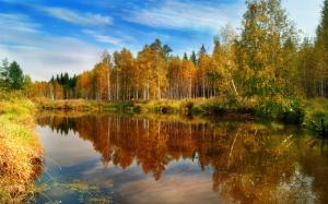 Nature fall, forest, lake, water, reflections wallpaper thumb