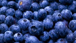 Fruit blueberry wallpaper thumb