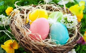 Easter Eggs, colorful, nest, flowers, spring wallpaper thumb