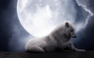 The Wolf Moon wallpaper thumb