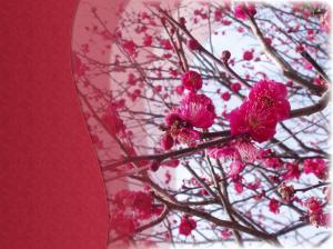 Spring In Japan wallpaper thumb