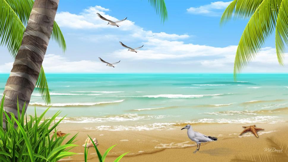 By The Beautiful Sea wallpaper,relax HD wallpaper,honeymoon HD wallpaper,romantic HD wallpaper,tropical HD wallpaper,seagulls HD wallpaper,grass HD wallpaper,serene HD wallpaper,water HD wallpaper,star fish HD wallpaper,sand HD wallpaper,ocean HD wallpaper,waves HD wallpaper,1920x1080 wallpaper