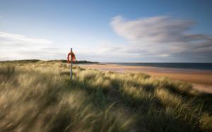 England sea coast scenery, sand beach, grass wallpaper thumb
