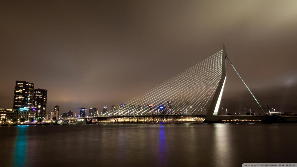 Erasmus Bridge Rotterdam Netherls wallpaper,lights HD wallpaper,city HD wallpaper,bridge HD wallpaper,night HD wallpaper,nature & landscapes HD wallpaper,1920x1080 wallpaper
