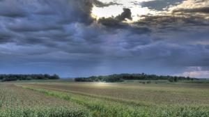 Rain Clouds Moving Over Rural Fields wallpaper thumb