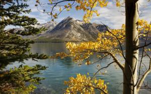 Mountains, lake, trees, leaves, autumn wallpaper thumb