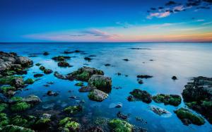 Beautiful coast, sea, rocks, algae, skyline, sunrise wallpaper thumb