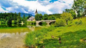 Beautiful Stream In Bohinj Slovenia wallpaper thumb