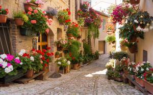 Street with flowers wallpaper thumb