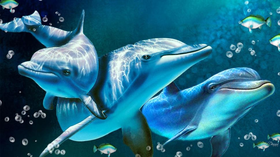 Delightful Dolphins wallpaper,water HD wallpaper,marine-mammals HD wallpaper,ocean HD wallpaper,aqua HD wallpaper,blue HD wallpaper,dolphins HD wallpaper,1920x1080 wallpaper