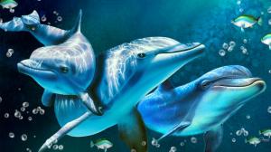 Delightful Dolphins wallpaper thumb