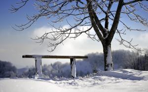 Winter Bench And Tree wallpaper thumb