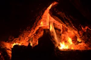 Wood, Campfire, Fire, Orange wallpaper thumb