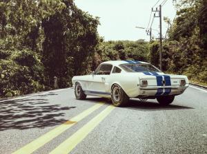 Ford Shelby wallpaper thumb