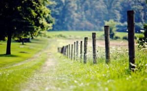 Fence in nature wallpaper thumb