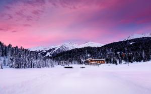 Madonna di Campiglio, Italy, Alps, mountains, trees, snow, houses, dusk wallpaper thumb