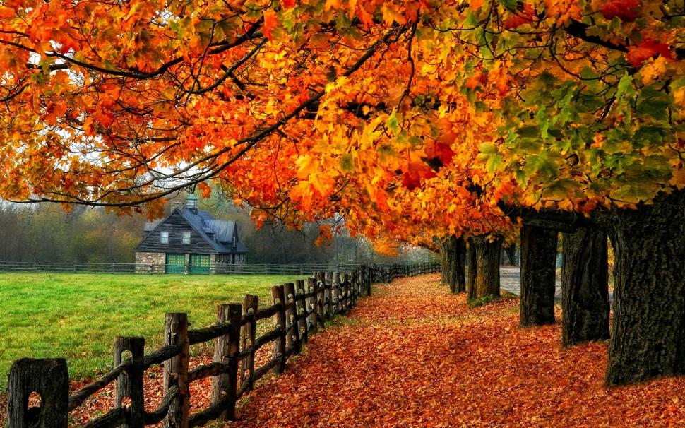 Colorful autumn, red leaves, path, grass, house wallpaper,Colorful HD wallpaper,Autumn HD wallpaper,Red HD wallpaper,Leaves HD wallpaper,Path HD wallpaper,Grass HD wallpaper,House HD wallpaper,1920x1200 wallpaper