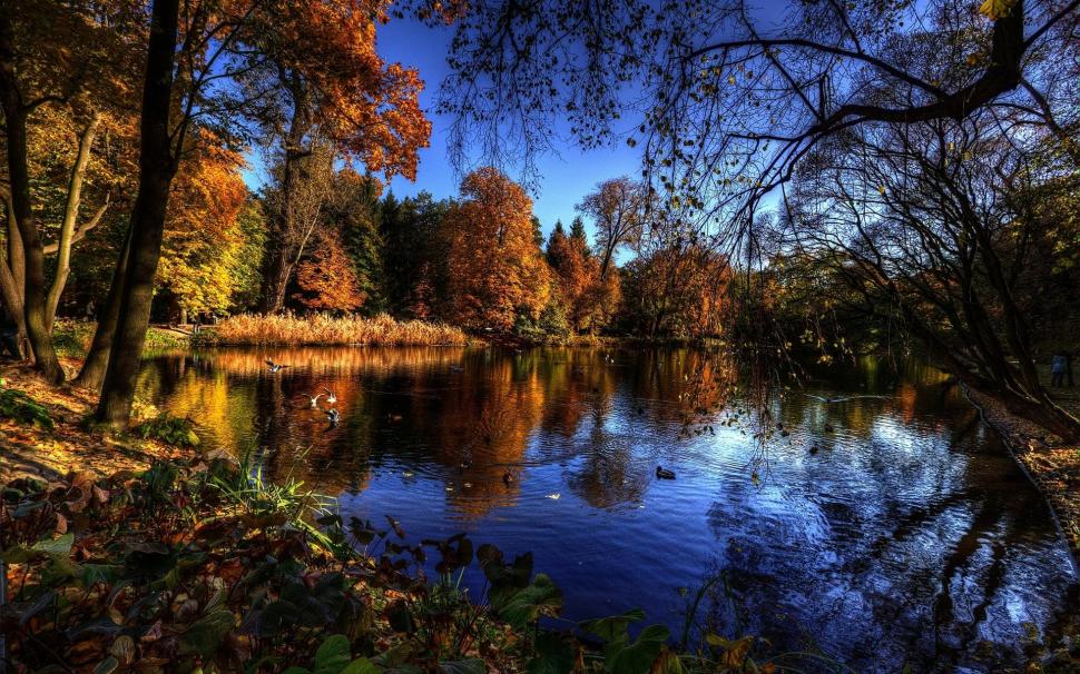 Beautiful lake in autumn wallpaper,forest HD wallpaper,lake HD wallpaper,autumn HD wallpaper,dicks HD wallpaper,reflection HD wallpaper,1920x1200 wallpaper