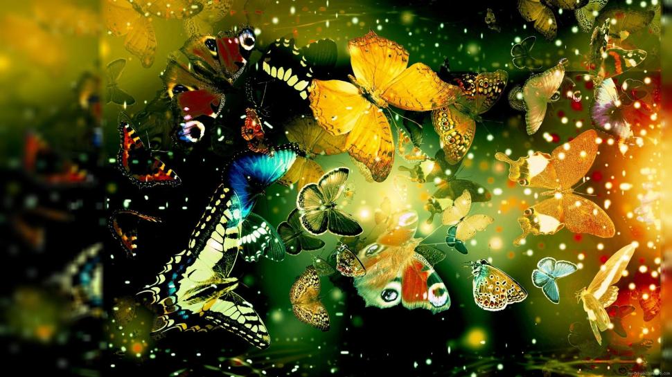 Butterflies flying toward light wallpaper,butterfly HD wallpaper,color HD wallpaper,animal HD wallpaper,1920x1080 wallpaper