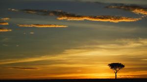 Sunset Silhouette Tree Clouds HD wallpaper thumb