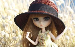 Toys doll, hat, grass wallpaper thumb