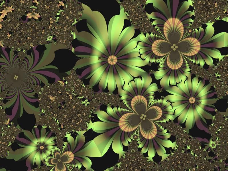Green flower fractals GOLD Green HD wallpaper,abstract wallpaper,flower wallpaper,green wallpaper,gold wallpaper,fractals wallpaper,800x600 wallpaper