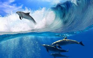 Dolphins Swimming wallpaper thumb