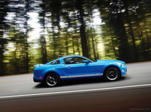 2010 Shelby GT500 3Related Car Wallpapers wallpaper thumb