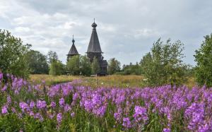 Leningrad region, temple, Church, Russia, flowers, grass wallpaper thumb