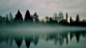 A Foggy Quiet Morning At The Lake wallpaper thumb