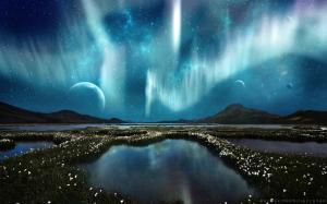 Aurora Borealis Northern Lights Landscape Night Stars Flowers Marsh Grass Planets HD wallpaper thumb