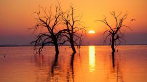 Nature Landscape River Sun Sunset Trees 3840×2160 HD - wallpaper thumb