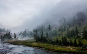 Yellowstone National Park, Forest, River, Mist, Mountains, Landscape, Nature wallpaper thumb