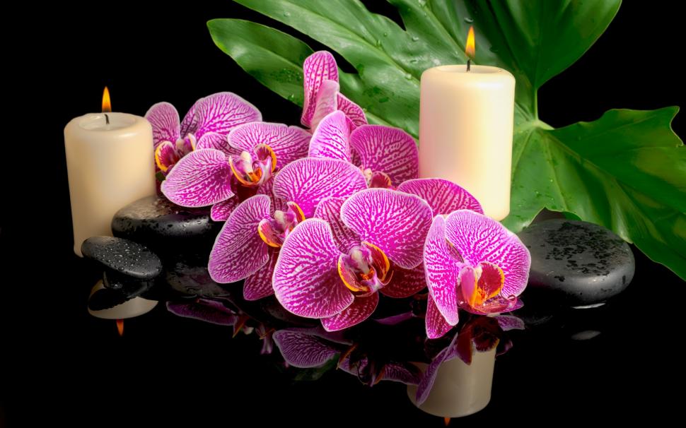 Spa candles and orchid wallpaper,leaf HD wallpaper,flower HD wallpaper,orchid HD wallpaper,Spa stones HD wallpaper,candles HD wallpaper,drops HD wallpaper,2880x1800 wallpaper