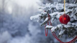 Christmas, Ball, Branch, Snow wallpaper thumb